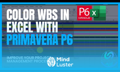 Automatically Color WBS Levels in Excel with Primavera P6 Formatting Step by Step Guide