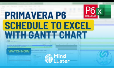 From Primavera P6 Schedule to Excel Creating Gantt Charts with XER to XLSX Tool in Excel