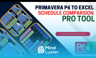 Automate Your Project Control Primavera P6 to Excel Schedule Comparison Pro Tool Reports