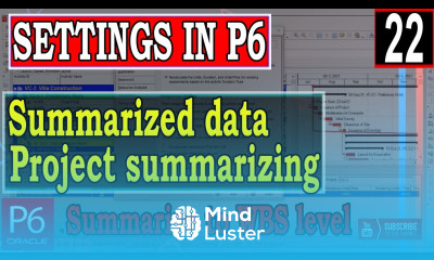 Summarized data settings in Primavera P6 project summarizing Summarize to WBS level Explained