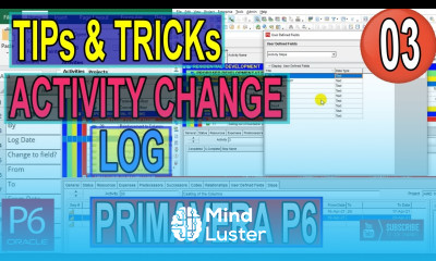 How to Maintain an Activity Change Log Primavera P6 UDFs Activity Steps Delay log Hacks