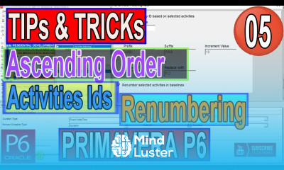 How To Renumber Activity IDs For All Activities In An Ascending Order In Primavera P6 Tips