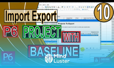 Export and Import Primavera P6 Project with Baseline in XML Format Multi projects in single file
