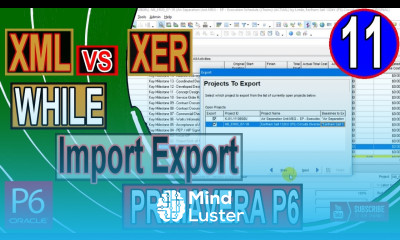 Explained difference Between XML and XER File while Importing and Exporting from Primavera P6
