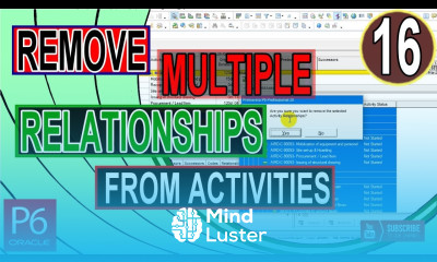How To Remove Relationships From Multiple Activities In Primavera P6 Remove Predecessor Successors