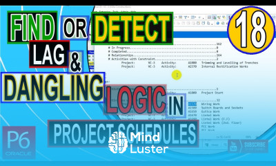 How to find or detect lag and dangling logic in Project Schedule of Primavera P6 by using Excel tips