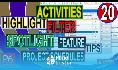 How to Highlight Activities Using Filters And Spotlight Feature In Primavera P6 Tips and Tricks