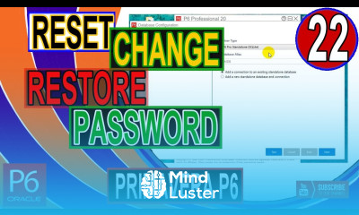 How to Change Password in Primavera P6 Recover Password Reset Password Tips and Tricks SQL