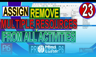 How to Assign or to Remove Multiple Resources From Multiple or all Activities in Primavera P6 Tips