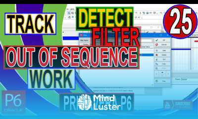 How to Track Find Detect Out of sequence Activities in Primavera P6 Filter Schedule log Tips