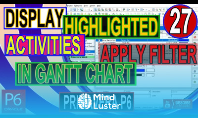 Print or display Highlighted Activities Gantt Chart different bars by apply Filter in Primavera P6