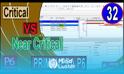 Explained Critical and Near Critical Activities differences in Primavera P6 Total Float P6