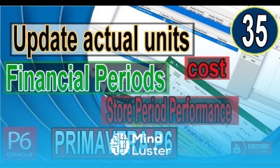 Update actual units and cost in financial Periods by using store period performance in Primavera P6