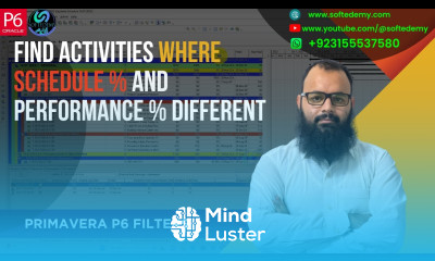 Primavera P6 Filters Find Activities Where Schedule and Performance Different