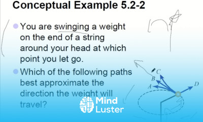 11 Newtonian Mechanics II