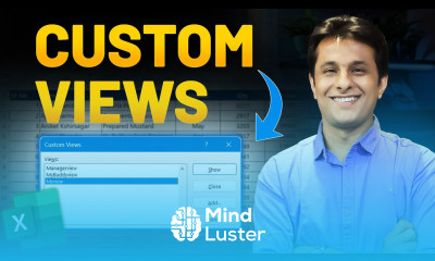 9 3 How to Use Custom Views in Excel Hide Show Data Smartly