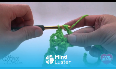 Left Hand Crochet Shells and Post Stitch