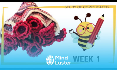 Left Hand Week 1 Crochet the Study of Complicated Flower Bouquet Blanket