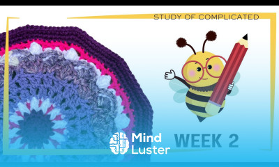 Week 2 Crochet the Study of Complicated Flower Bouquet Blanket