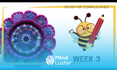 Week 3 Crochet the Study of Complicated Flower Bouquet Blanket