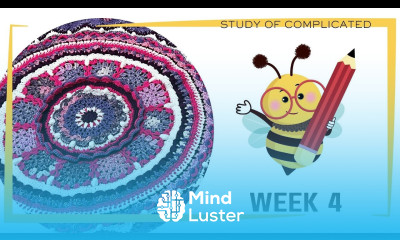 Left Hand Week 4 Crochet the Study of Complicated Flower Bouquet Blanket