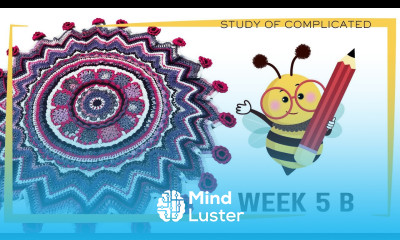 Left Hand Week 5B Crochet the Study of Complicated Flower Bouquet Blanket