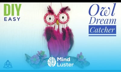 DIY Dream Catcher with Feathers Macrame Owl Wall Hanging