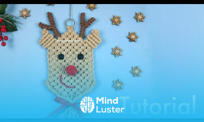 How to Make a Rudolph Christmas Ornament Macrame Wall Hanging DIY