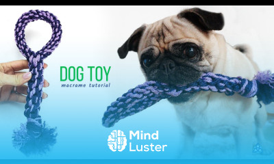 DIY Macrame Dog Toy Tutorial FUNNY PUG