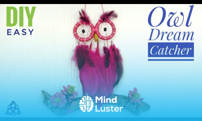 DIY Dream Catcher with Feathers Macrame Owl Wall Hanging