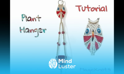 Owl Macrame Plant Hanger  Tutorial 