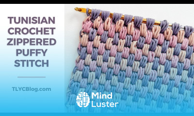 WOW SO PRETTY Zippered Puffy Stitch Tutorial Tunisian Crochet for BEGINNERS