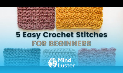 5 CROCHET STITCHES FOR BEGINNERS V Moss Puff Griddle Shell