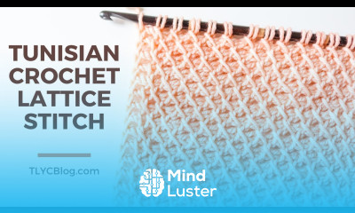 Tunisian Crochet Lattice Stitch How To BEGINNER STITCH PATTERN TUTORIAL