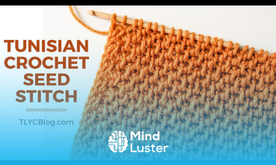 HOW TO Tunisian Crochet Seed Stitch for Beginners