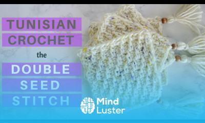 New Stitch Learn the Double Seed Stitch in Tunisian Crochet Pattern Tutorial