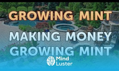 Making Money Growing Mint