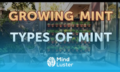 Types of Mint