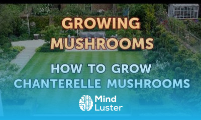 How to Grow Chanterelle Mushrooms