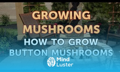 How to Grow Button Mushrooms