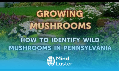 How to Identify Wild Mushrooms in Pennsylvania