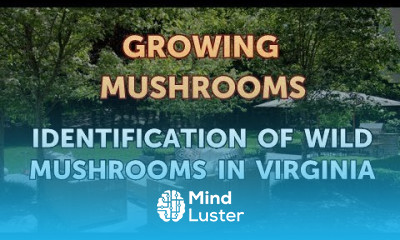 Identification of Wild Mushrooms in Virginia