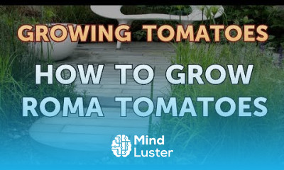 How to Grow Roma Tomatoes