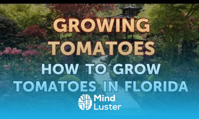 How to Grow Tomatoes in Florida
