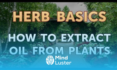 How to Extract Oil From Plants