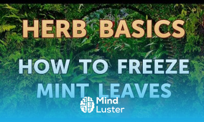 How to Freeze Mint Leaves