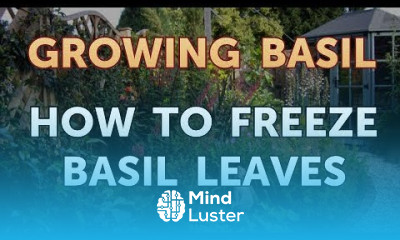 How to Freeze Basil Leaves