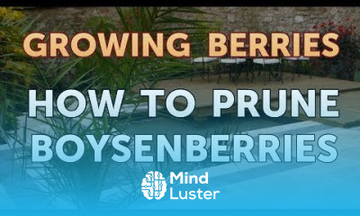How to Prune Boysenberries