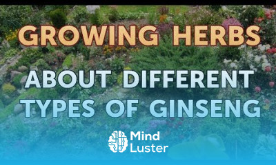 About Different Types of Ginseng