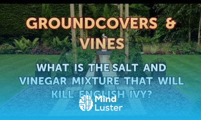 What Is the Salt and Vinegar Mixture That Will Kill English Ivy